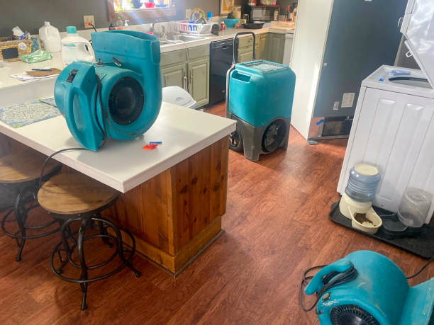 Best Flood damage cleanup  in Quail Ridge, FL