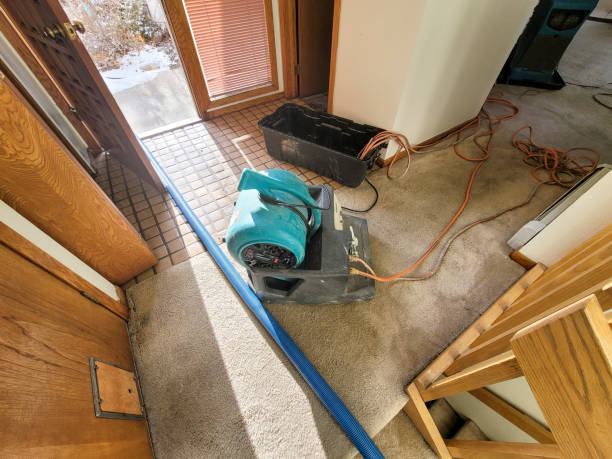 Best 24-hour water damage restoration  in Quail Ridge, FL