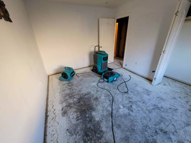 Best Water damage restoration near me  in Quail Ridge, FL