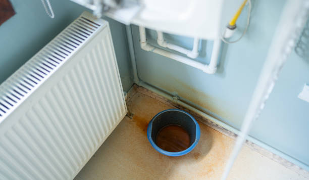Best Mold removal after water damage  in Quail Ridge, FL