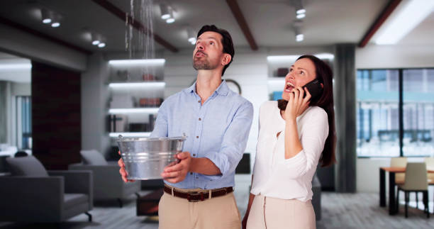 Best Water damage restoration near me  in Quail Ridge, FL