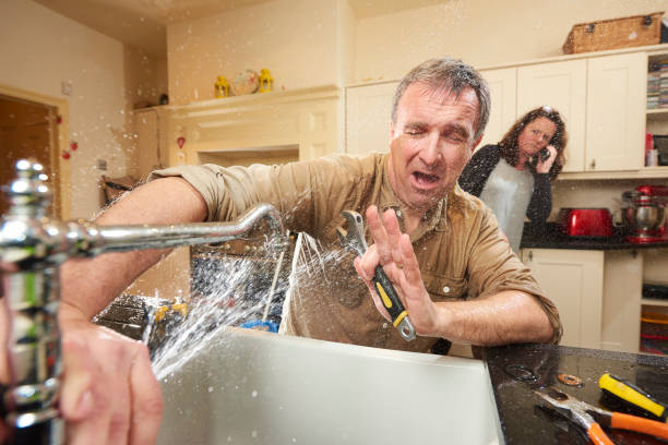 Best Local water damage restoration  in Quail Ridge, FL